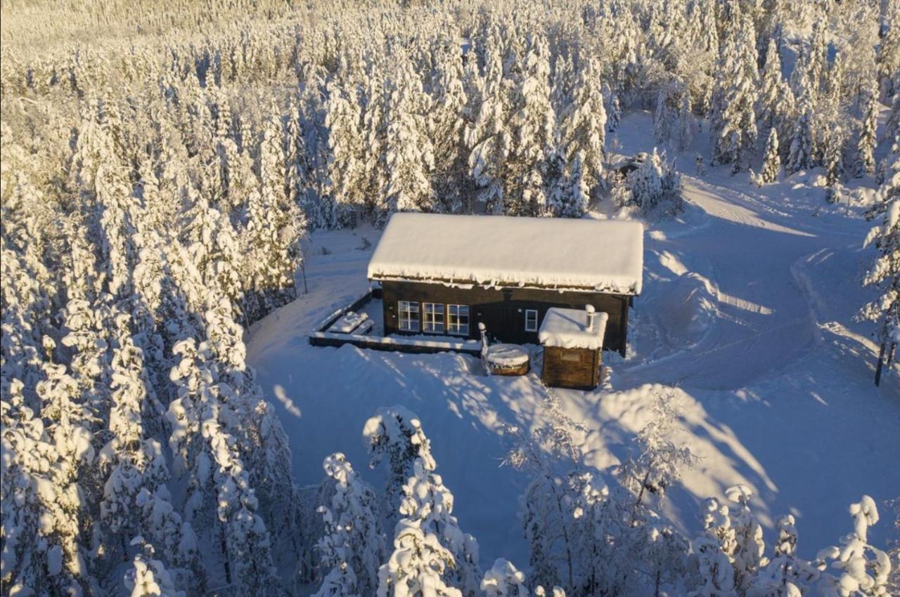 Cabin With Sauna In טריסיל מראה חיצוני תמונה